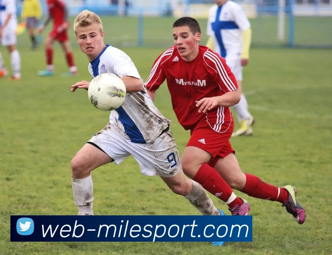 米乐体育服务体系